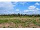 Scenic parcel of land with native grasses and mountain views in the distance at 1592 Maggie Mae Ln, Castle Rock, CO 80104