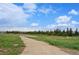 Expansive land highlighting a dirt path leading into native meadows and grasses at 1592 Maggie Mae Ln, Castle Rock, CO 80104