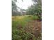 View of an unkept backyard featuring grass, trees, and a weathered wooden fence at 6911 Weiman Ct, Commerce City, CO 80022