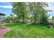 Expansive backyard with lush green grass, mature trees, and a storage shed at 8490 E Davies Pl, Centennial, CO 80112