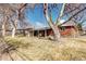 Spacious backyard with covered patio and mature trees at 6737 Lee St, Arvada, CO 80004