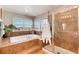 Spa-like bathroom with soaking tub and walk-in shower at 27319 E Nova Cir, Aurora, CO 80016