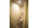 Small, bright powder room features a toilet, floating shelf, and stylish decor at 359 Courtfield Way, Castle Pines, CO 80108