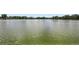 Open water lake, featuring a serene view of the horizon and surrounding trees at 814 S High St, Denver, CO 80209