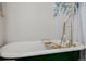 Clawfoot tub with gold faucet and towel rack at 1521 Pontiac St, Denver, CO 80220