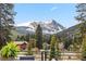 Breathtaking mountain views from the property, surrounded by lush trees at 427 Whispering Pines Cir, Breckenridge, CO 80424