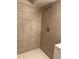 Tiled shower with brushed metal fixtures and shower head at 405 Dogwood Ave, Brighton, CO 80601