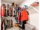 Walk-in closet with built-in shelving for organized storage at 1075 Spartan Ave, Berthoud, CO 80513