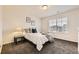 Cozy bedroom with plush carpet, a large window offering natural light, and a side table with lamp at 7833 Bandit Dr, Castle Rock, CO 80108