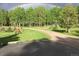 Picturesque property featuring a lush lawn where elk roam freely under a vibrant rainbow, creating a serene and natural setting at 9239 Black Mountain Dr, Conifer, CO 80433