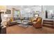 Cozy living room with gray sofa, patterned cushions, and natural lighting at 12753 Buckhorn Creek St, Parker, CO 80134