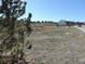 View of neighborhood houses from grassy area with a pond, under a clear sky at 5223 Gray Wolf Ln, Castle Rock, CO 80104