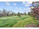 Lush backyard featuring a green space and various trees at 4212 E Orchard Pl, Centennial, CO 80121