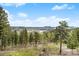 Scenic landscape view of the wooded property featuring mature trees and distant mountain range, under a blue sky at 116 Ramona Rd, Golden, CO 80403