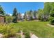 Lush backyard featuring a large lawn, mature trees, and professional landscaping at 9141 Roundtree Dr, Highlands Ranch, CO 80126