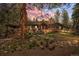 Charming home with stone accents, covered porch, mature trees, and a colorful front door at 9107 S Deer Creek Canyon Rd, Littleton, CO 80127