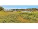 Backyard with lake access overgrown with green ground cover at 4790 W Evans Ave, Denver, CO 80219