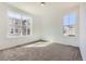 Bright bedroom with plush carpet flooring and large windows, offering plenty of natural light at 4600 Thistle Dr, Brighton, CO 80601