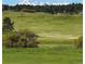 Expansive green field with scattered trees and mountains in the background, showcasing the property's scenic views at 3125 Red Kit Rd, Franktown, CO 80116