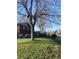 Expansive front lawn with mature tree, showcasing the home's curb appeal in a serene residential neighborhood at 12323 W Connecticut Dr, Lakewood, CO 80228