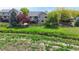 Picturesque backyard with lush green grass, mature trees, and a charming wooden fence, creating a serene outdoor space at 14833 Vine St, Thornton, CO 80602