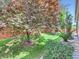 Landscaped backyard with lush green grass, mature trees, and a privacy fence at 13385 Jasmine St, Thornton, CO 80602