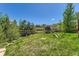Large backyard features mature trees, green grass, lush landscaping, and a playground set at 1905 Graphite Ct, Castle Rock, CO 80108