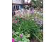 Beautiful backyard garden with colorful flowers and a deck for outdoor seating at 1080 Ithaca Dr, Boulder, CO 80305