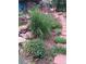 Manicured backyard with pond, rock features, walking path and view of the deck at 1080 Ithaca Dr, Boulder, CO 80305