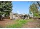 Expansive backyard with a covered patio, mature trees, and partially bare lawn offering outdoor enjoyment at 9960 Garland Ln, Broomfield, CO 80021