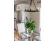 Elegant dining area with a glass table and modern lighting fixture, kitchen in background at 401 S Williams St, Denver, CO 80209
