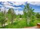Picturesque view of lush trees and a serene sky at 10436 Jeanette Ct, Morrison, CO 80465