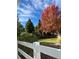 Beautiful, lush backyard with a red tree, terraced landscaping and a white fence at 7858 Oban Ct, Lone Tree, CO 80124