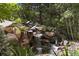 Beautiful rock waterfall feature in a lush garden setting with greenery and serene atmosphere at 145 Capulin Pl, Castle Rock, CO 80108