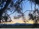 Tranquil landscape with silhouetted trees framing a beautiful sunset over distant mountains at 14798 N 115Th St, Longmont, CO 80504