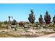 Community entrance features decorative deer statues on a landscaped median at 21418 E Stroll Ave, Parker, CO 80138