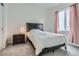Comfortable bedroom features soft carpet, window, and modern furniture at 4903 Basalt Ridge Cir, Castle Rock, CO 80108