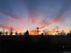 Scenic shot of a colorful sunset with silhouetted trees and urban infrastructure at 1438 Little Raven St # 306, Denver, CO 80202