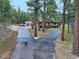 View of a home with a large, two-car garage and a curved driveway through a lush forest at 4305 Red Rock Dr, Larkspur, CO 80118