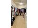 Spacious walk-in closet with shelving and ample storage space for clothing and accessories at 16063 E 106Th Ct, Commerce City, CO 80022