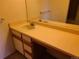 Bathroom vanity area featuring a single sink, large mirror, and storage cabinets at 4760 S Wadsworth # 301, Littleton, CO 80123