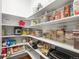 Spacious pantry with well-organized shelving, offering ample storage for food and kitchen essentials at 8784 S Riviera Ct, Aurora, CO 80016