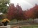 View of the house with a red tree, a sidewalk and a rainbow in the background at 1295 S Downing St, Denver, CO 80210