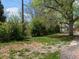 View of the home's backyard, showcasing the grass, trees, and vegetation on a sunny day at 449 King St, Denver, CO 80204