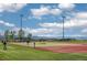 Well-maintained baseball field with lush green grass and vibrant red clay, perfect for community games at 494 Black Feather Loop # 108, Castle Rock, CO 80104