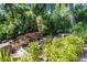 Zen garden featuring a stream cascading over rock formations, surrounded by lush vegetation at 8888 W 37Th Pl, Wheat Ridge, CO 80033