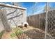 Backyard showing dog house, storage shed, and chain link fence at 3022 Blackhawk St, Aurora, CO 80011