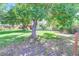 Serene backyard featuring mature trees providing ample shade, complemented by lush greenery and a well-maintained lawn at 6971 S Valentia St, Centennial, CO 80112