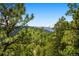 Scenic view of mountains and evergreen trees at 33095 Bergen Mountain Rd, Evergreen, CO 80439