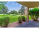 View from patio featuring lush lawn, tall trees and building exterior at 13626 E Bates Ave # 110, Aurora, CO 80014